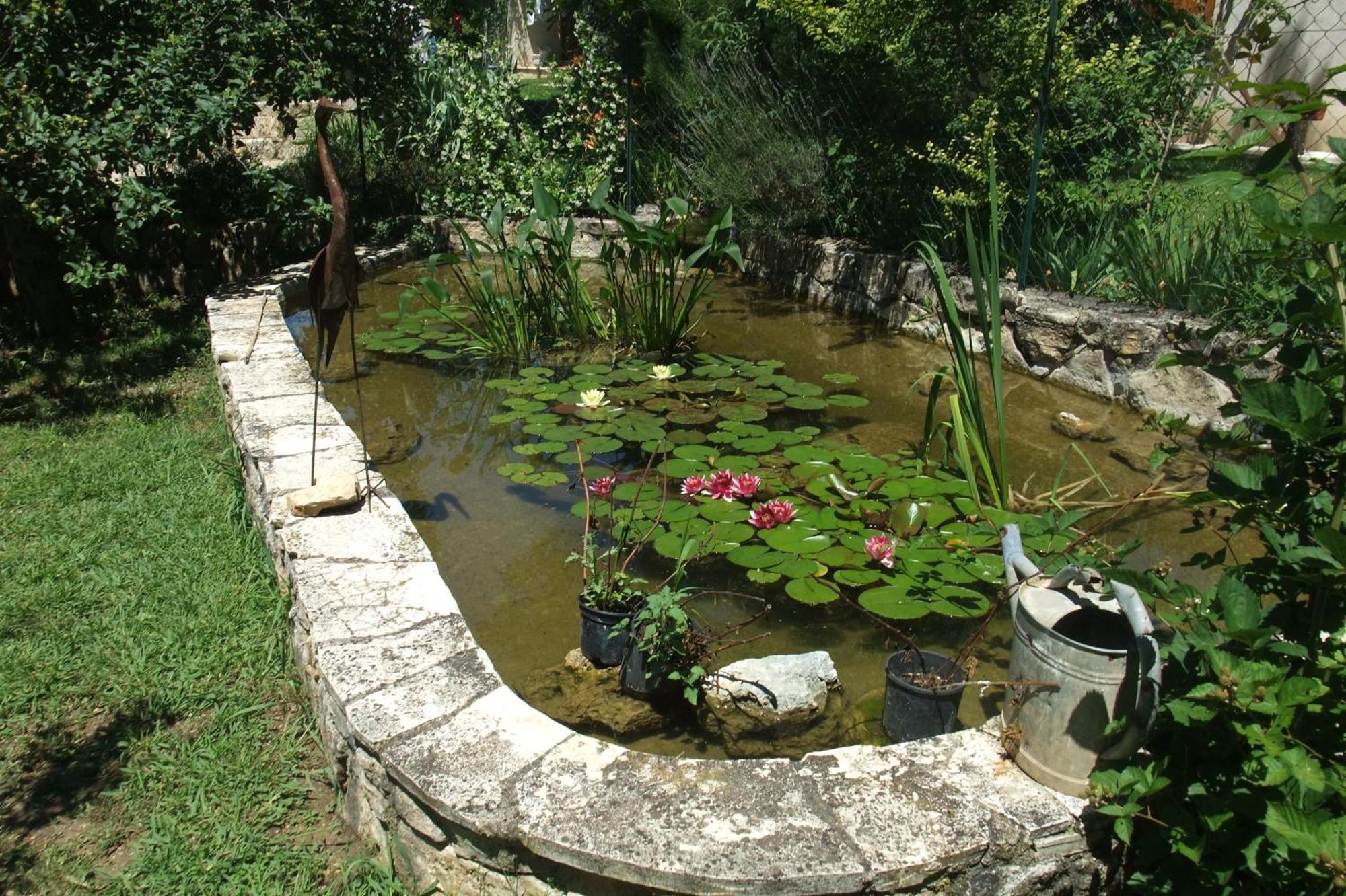 Gite La Paillote Montauroux Extérieur photo