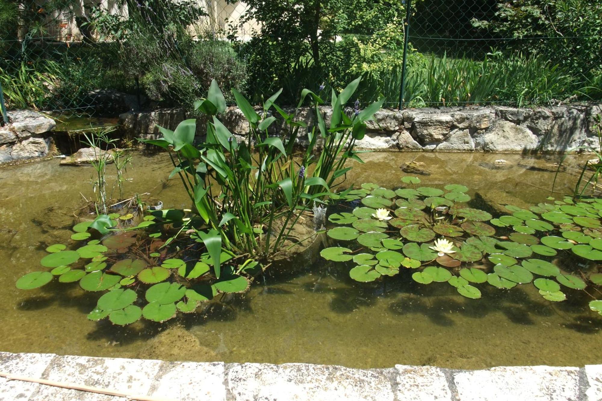 Gite La Paillote Montauroux Extérieur photo